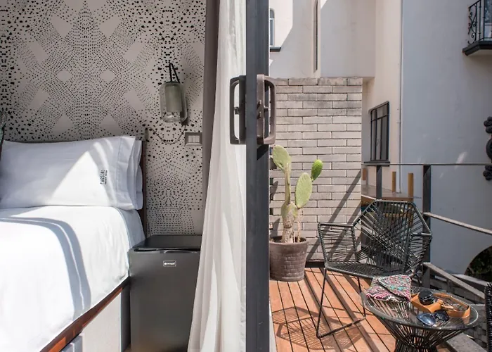 Pug Seal Polanco Allan Poe Hotel
