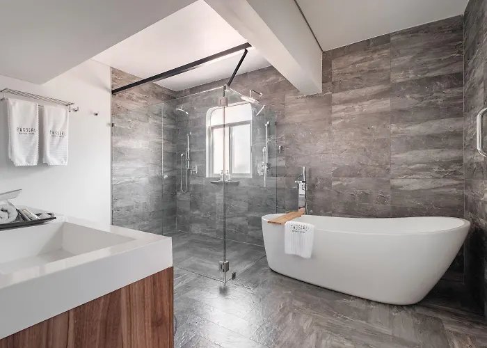 Pug Seal Polanco Allan Poe Hotel México DF